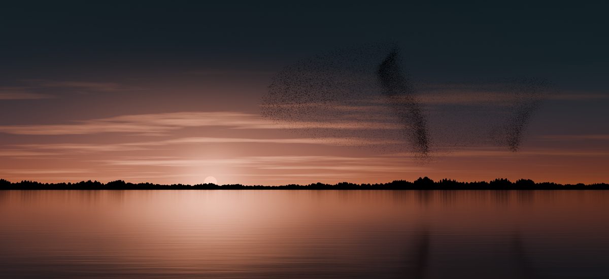 A murmuration of starlings rendered in 3D, a dark flowing cloud over a low horizon at dusk.